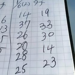 金沢八景鴨下丸 釣果