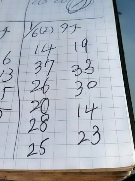 金沢八景鴨下丸 釣果