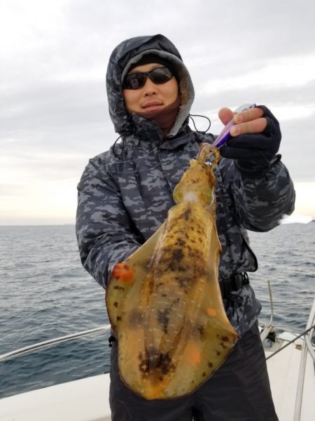 ソルトウォーターガイドフレンズ 釣果