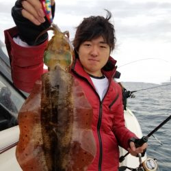 ソルトウォーターガイドフレンズ 釣果