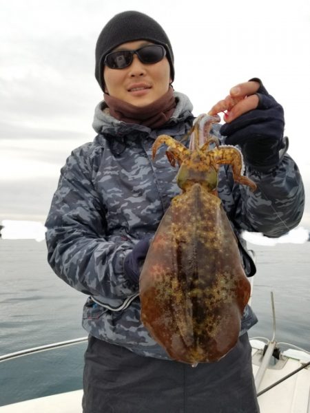 ソルトウォーターガイドフレンズ 釣果