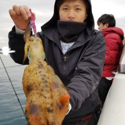 ソルトウォーターガイドフレンズ 釣果