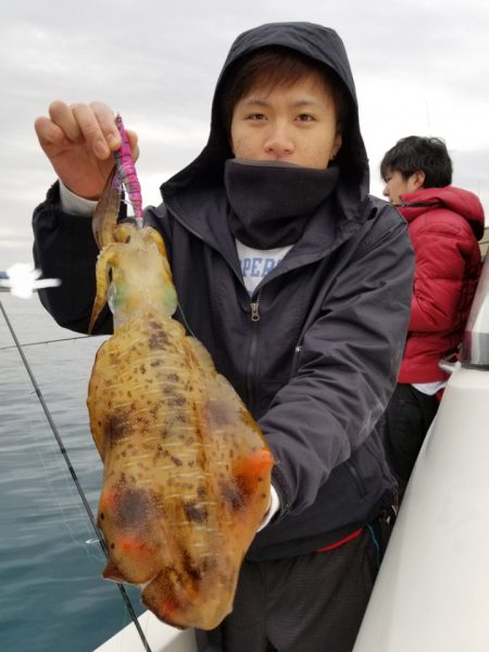 ソルトウォーターガイドフレンズ 釣果