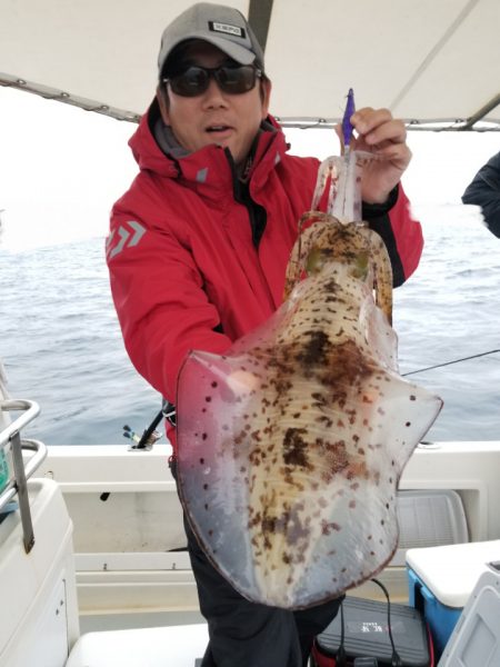 ソルトウォーターガイドフレンズ 釣果