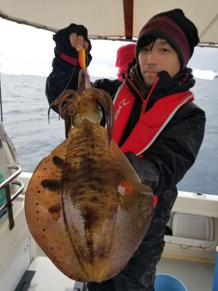 ソルトウォーターガイドフレンズ 釣果