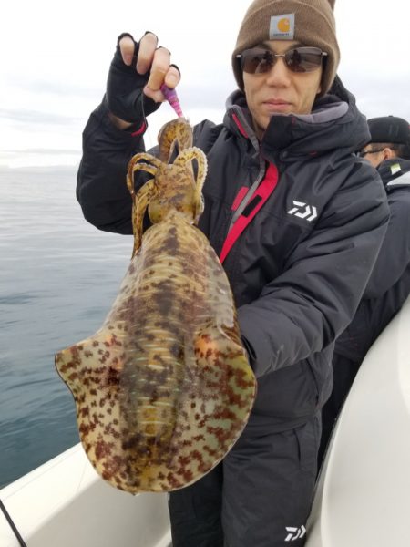 ソルトウォーターガイドフレンズ 釣果