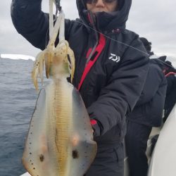 ソルトウォーターガイドフレンズ 釣果