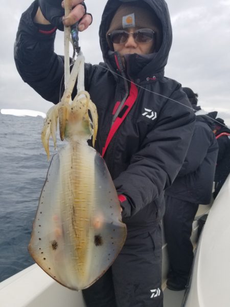 ソルトウォーターガイドフレンズ 釣果