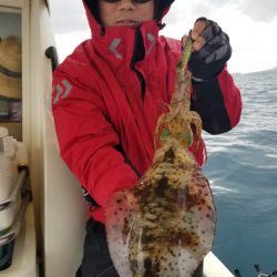 ソルトウォーターガイドフレンズ 釣果