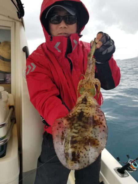 ソルトウォーターガイドフレンズ 釣果