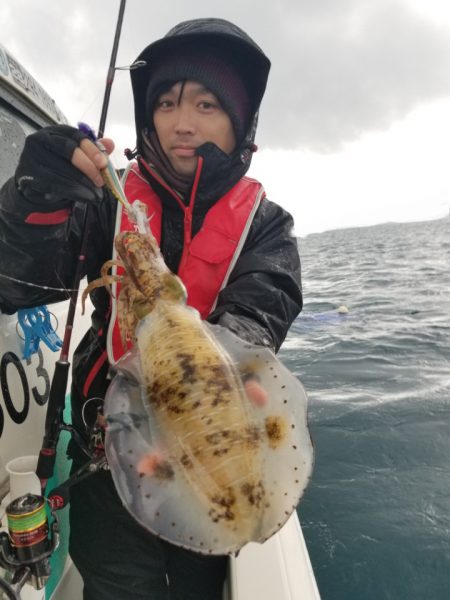 ソルトウォーターガイドフレンズ 釣果