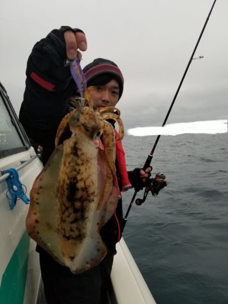 ソルトウォーターガイドフレンズ 釣果