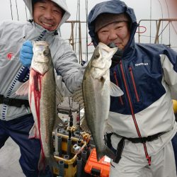 ありもと丸 釣果