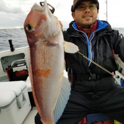 アマテラス 釣果