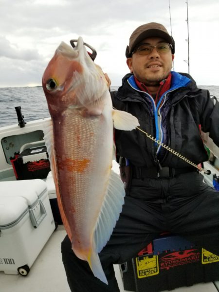 アマテラス 釣果