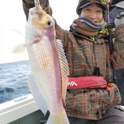 アマテラス 釣果