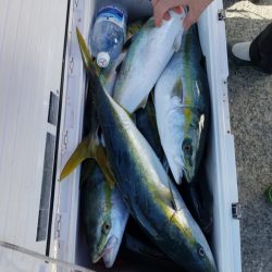 みやけ丸 釣果