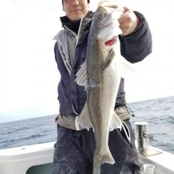 アマテラス 釣果