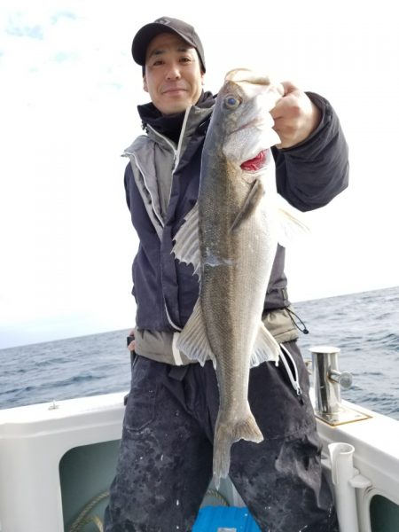 アマテラス 釣果