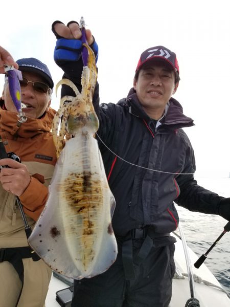 ソルトウォーターガイドフレンズ 釣果