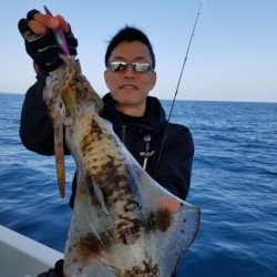 ソルトウォーターガイドフレンズ 釣果