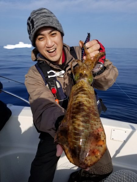 ソルトウォーターガイドフレンズ 釣果