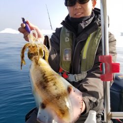 ソルトウォーターガイドフレンズ 釣果