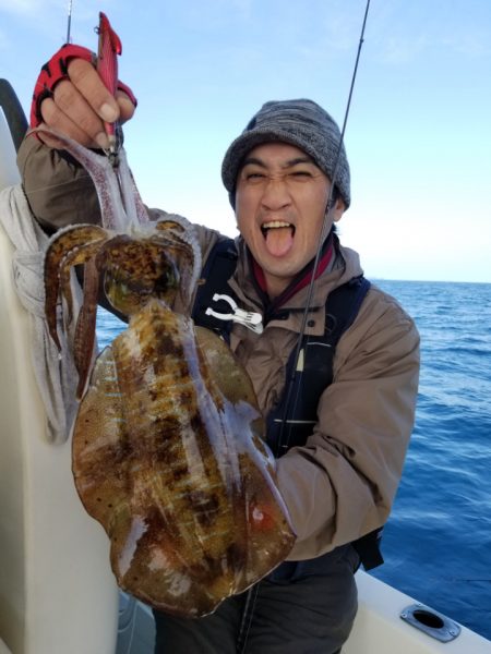 ソルトウォーターガイドフレンズ 釣果