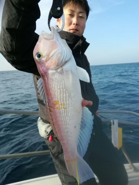 光生丸 釣果
