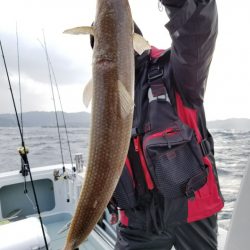 アマテラス 釣果