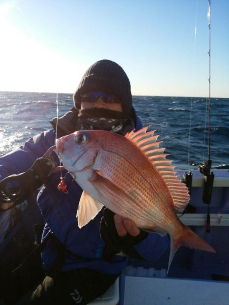 新幸丸 釣果