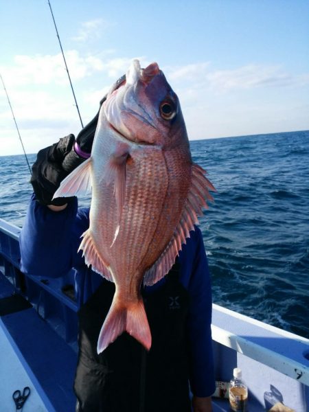 新幸丸 釣果