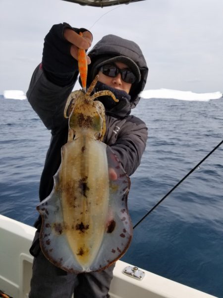 ソルトウォーターガイドフレンズ 釣果