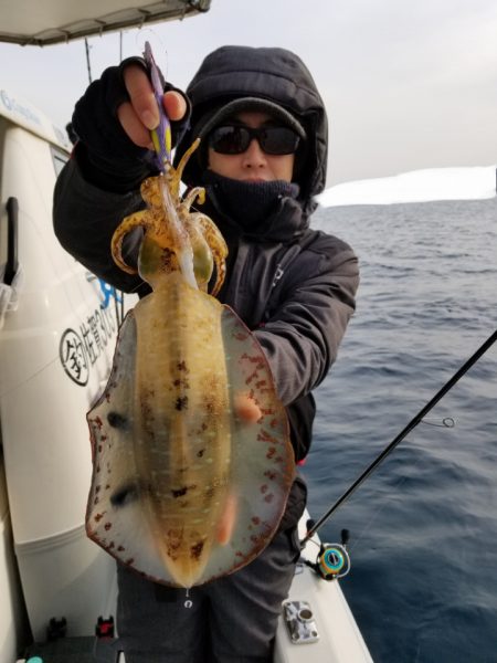 ソルトウォーターガイドフレンズ 釣果