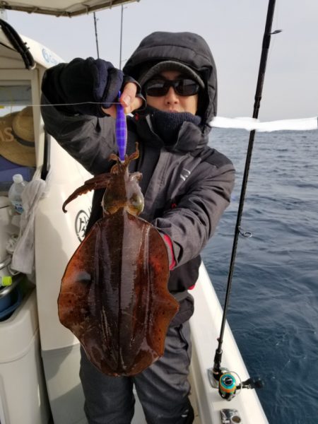 ソルトウォーターガイドフレンズ 釣果