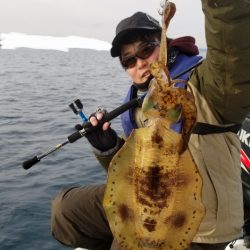 ソルトウォーターガイドフレンズ 釣果