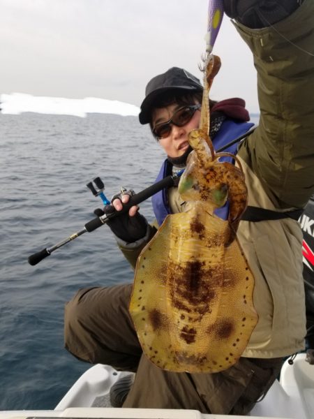 ソルトウォーターガイドフレンズ 釣果