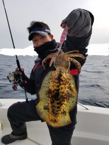 ソルトウォーターガイドフレンズ 釣果