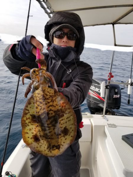 ソルトウォーターガイドフレンズ 釣果