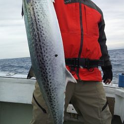 大応丸 釣果