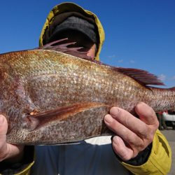 第三共栄丸 釣果