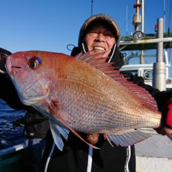 だて丸 釣果