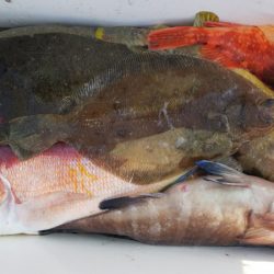 第二龍勢丸 釣果