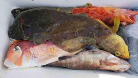 第二龍勢丸 釣果