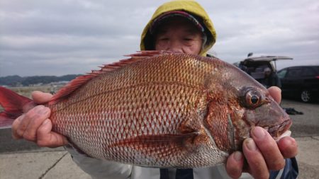 第三共栄丸 釣果