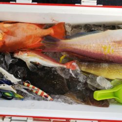 第二龍勢丸 釣果