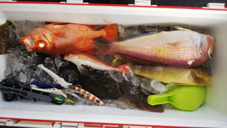 第二龍勢丸 釣果