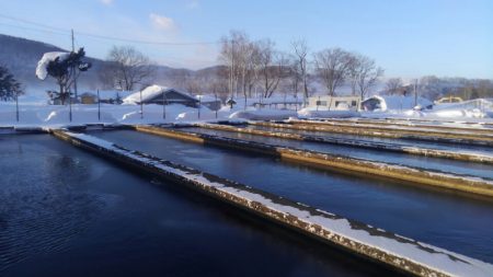 つりぼりあかし 釣果