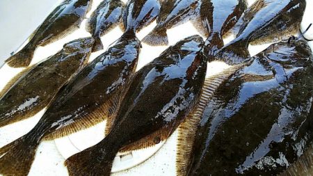 タイラバ遊漁船 ワンピース 釣果