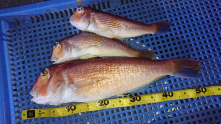 第三共栄丸 釣果